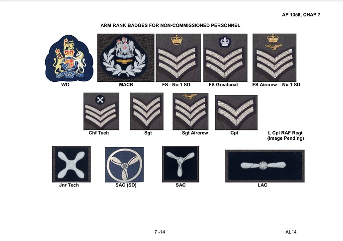 Aircrew eagles but no brevet? - Uniform and Drill - Air Cadet Central