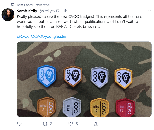 CVQO%20Badges