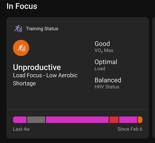 Screenshot_20260206_145943_Garmin Connect