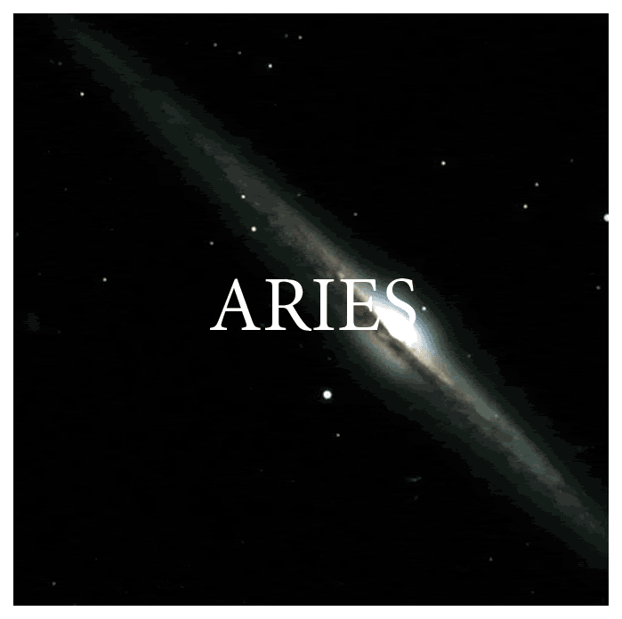 aries-lucy-zodiaco